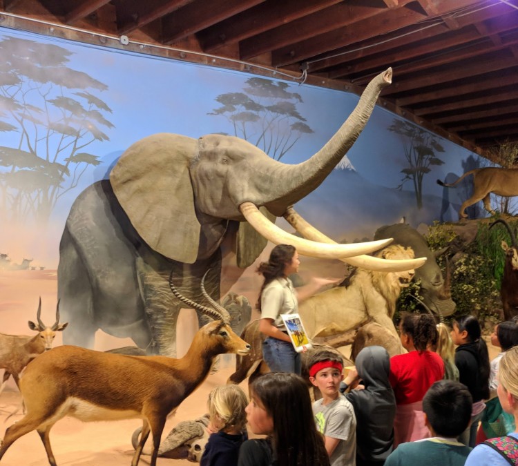 Petaluma Wildlife Museum (Petaluma,&nbspCA)
